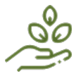 icon01